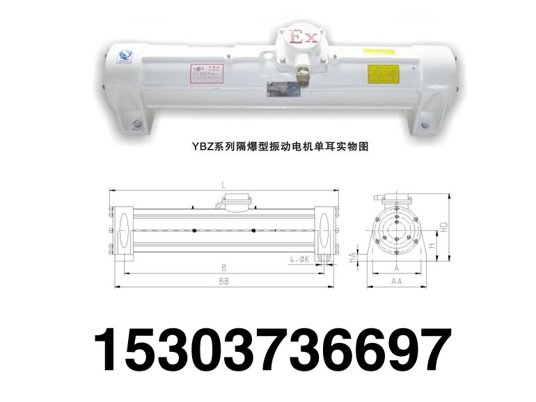 YBZ雙耳防爆振動(dòng)電機(jī)